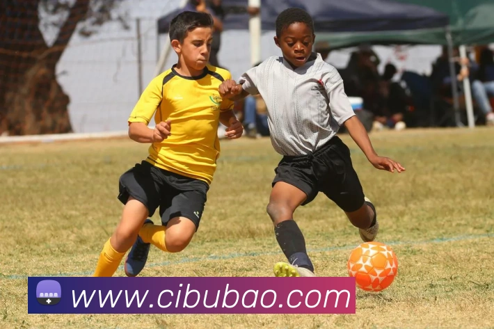 在线买世界杯平台全站App 在线买世界杯平台全站App