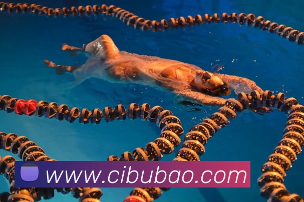 辅助工具 辅助工具